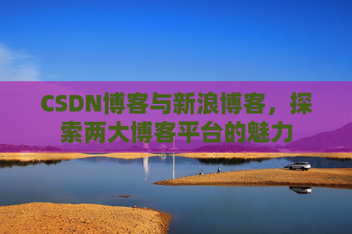 CSDN博客与新浪博客，探索两大博客平台的魅力